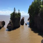 water surrounds the flowerpot rocks during high tide in Fundy Bay