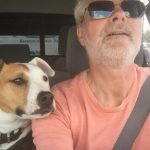 dog and man watch intently while driving down the road towing a trailer