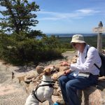 A man and a dog sit at the summit of Mount Gorham in Acadia National Park