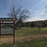 The "Garden of Roots" in Castroville Regional Park