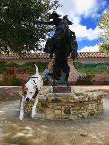 A statue of a cowboy with a lariat on a rearing horse appears to be herding Rover the Vagabond Dog